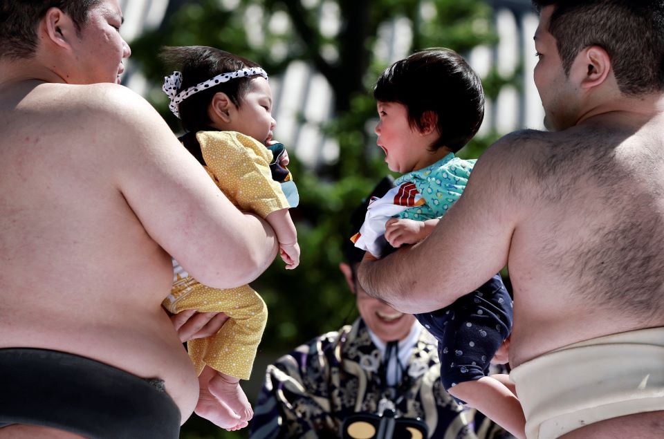 το-φεστιβάλ-με-τα-μωρά-σούμο-που-κλαίν-562385167