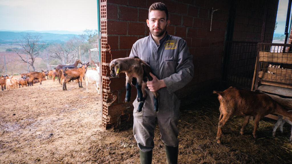 οι-επίμονοι-κτηνοτρόφοι-του-έβρου-562394137