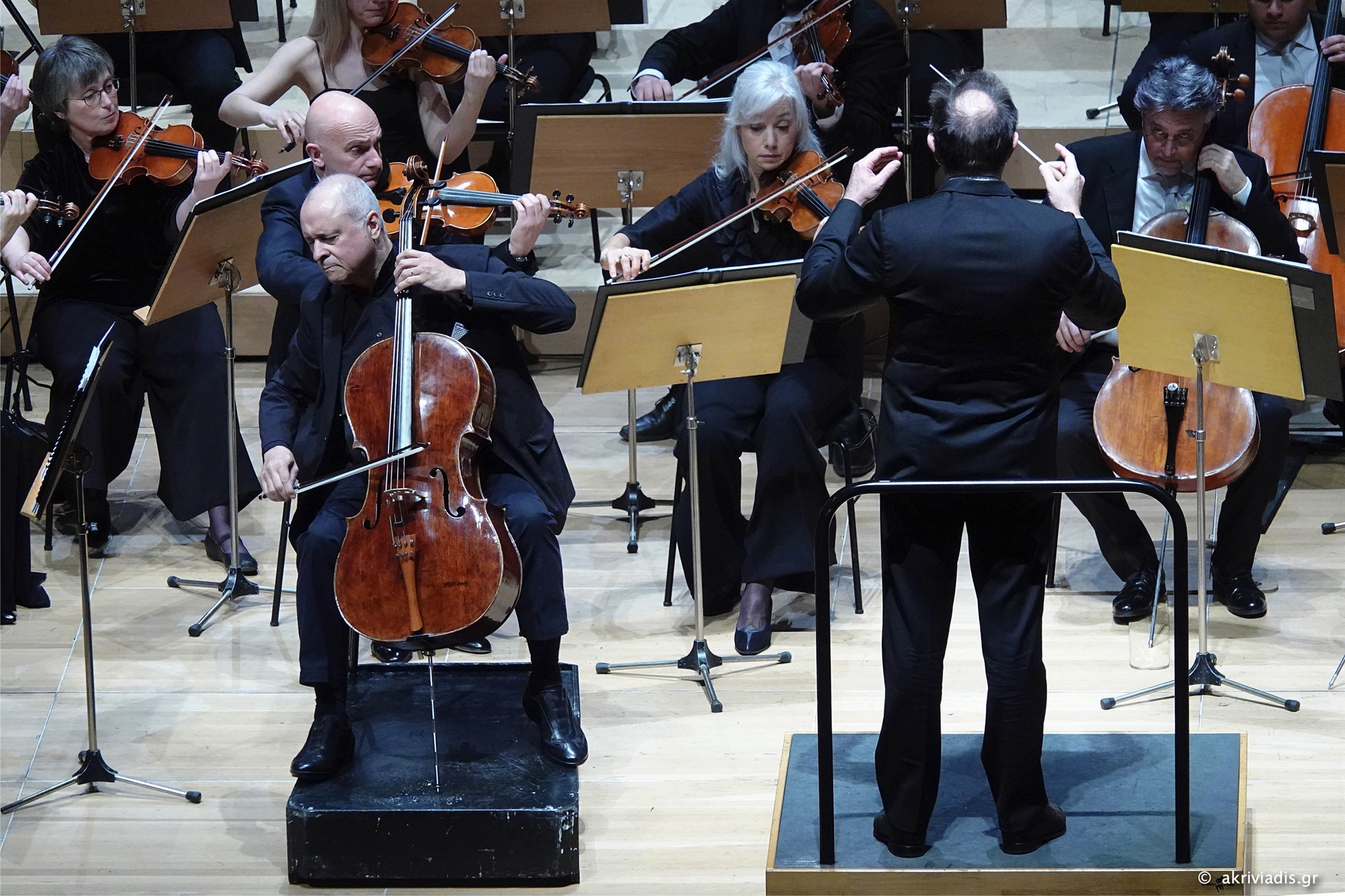 γενικόλογες-αναγνώσεις-από-τον-γκάτι-562363666