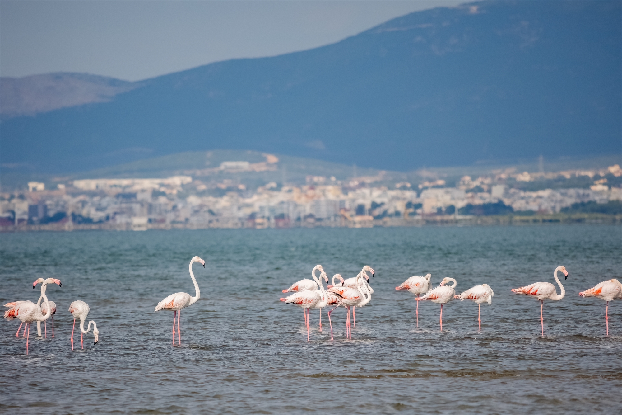 περιβαλλοντική-προστασίαγια-χάρη-τ-562360180