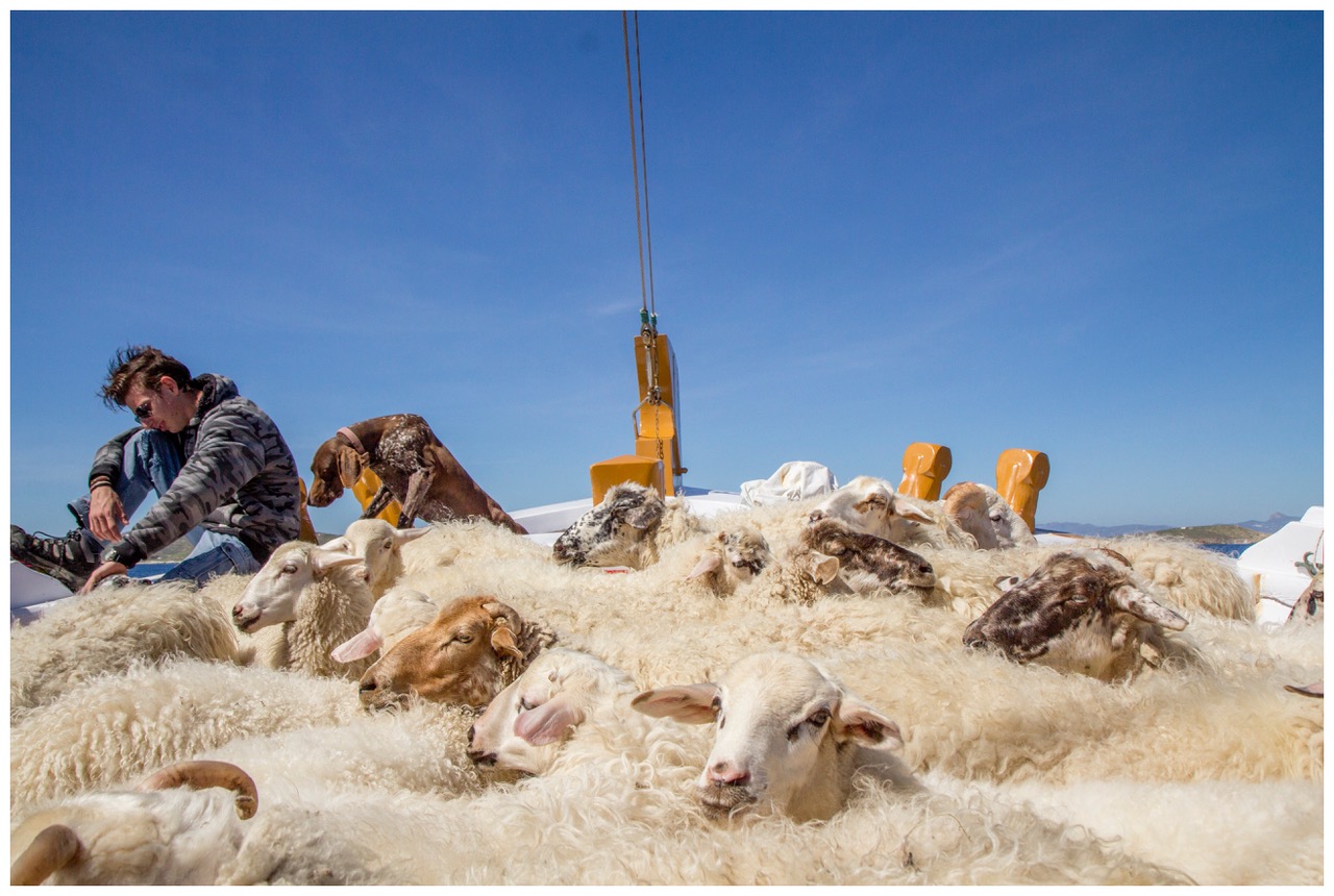 η-αληθινή-μύκονος-κρύβεται-στη-μαού-562362172