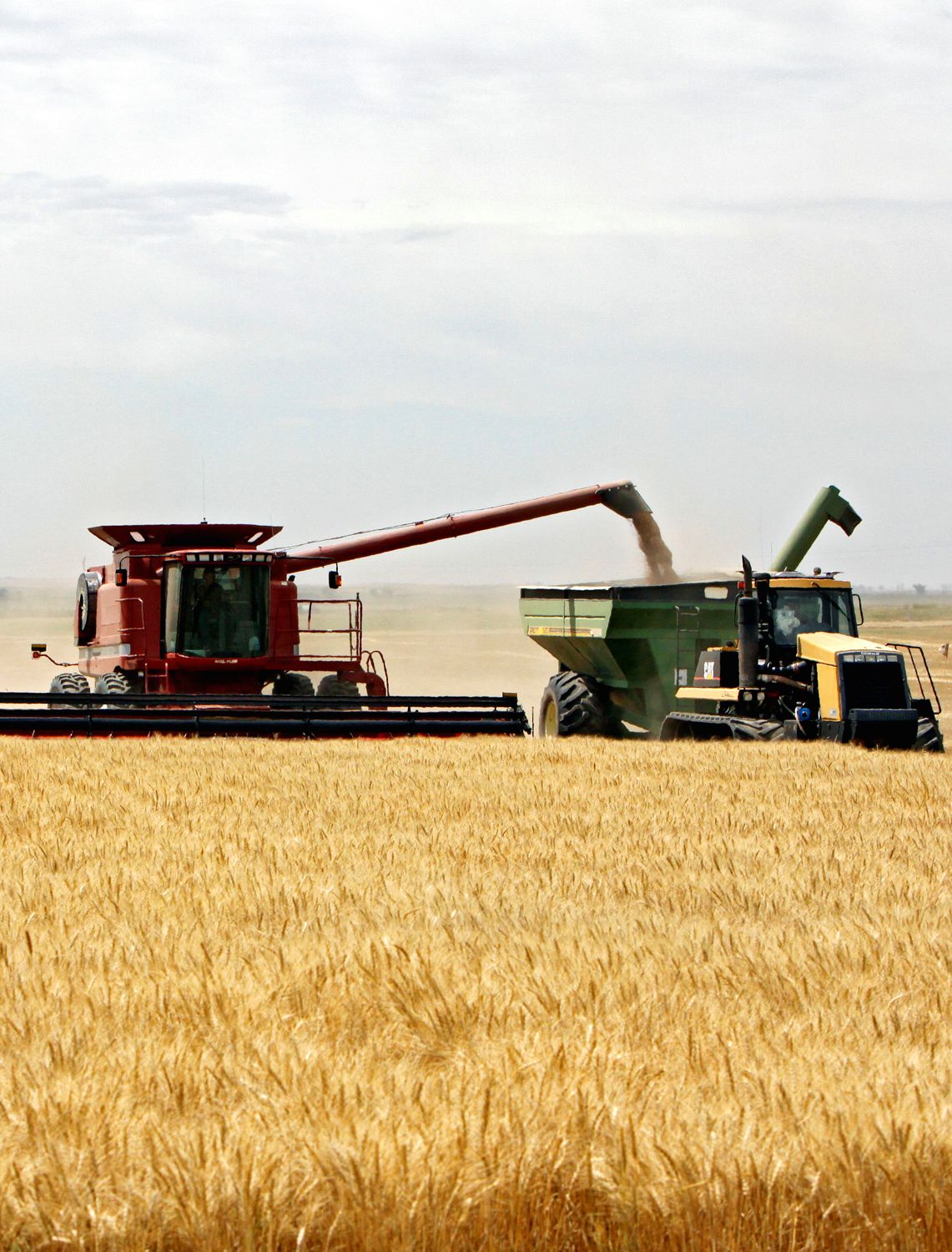 αρθρο-του-θ-πελαγίδη-στην-κ-θρυμματι-562384153