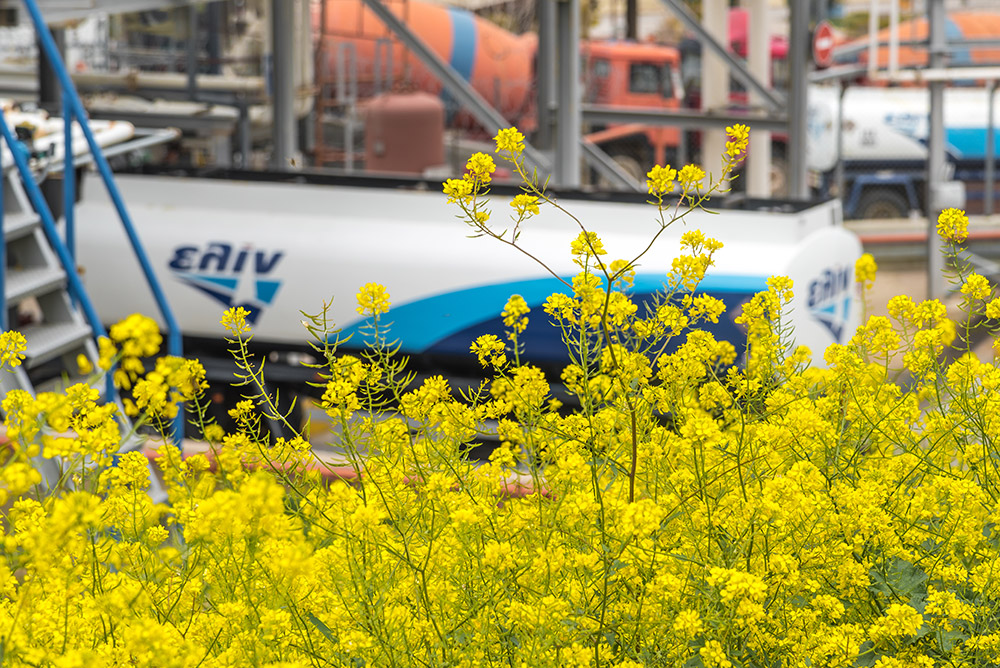 ελίν: To ταξίδι ενός ενεργειακού ομίλου προς την επιχειρηματική αριστεία-2