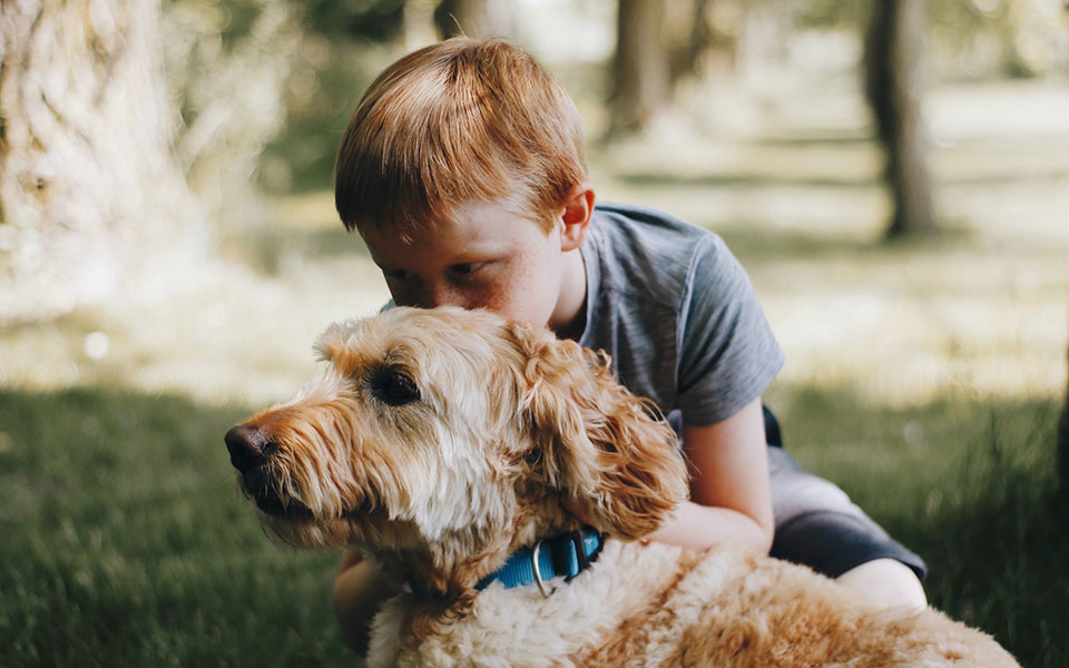 η-συμβίωση-με-σκύλους-ή-γάτες-μπορεί-να-562355248