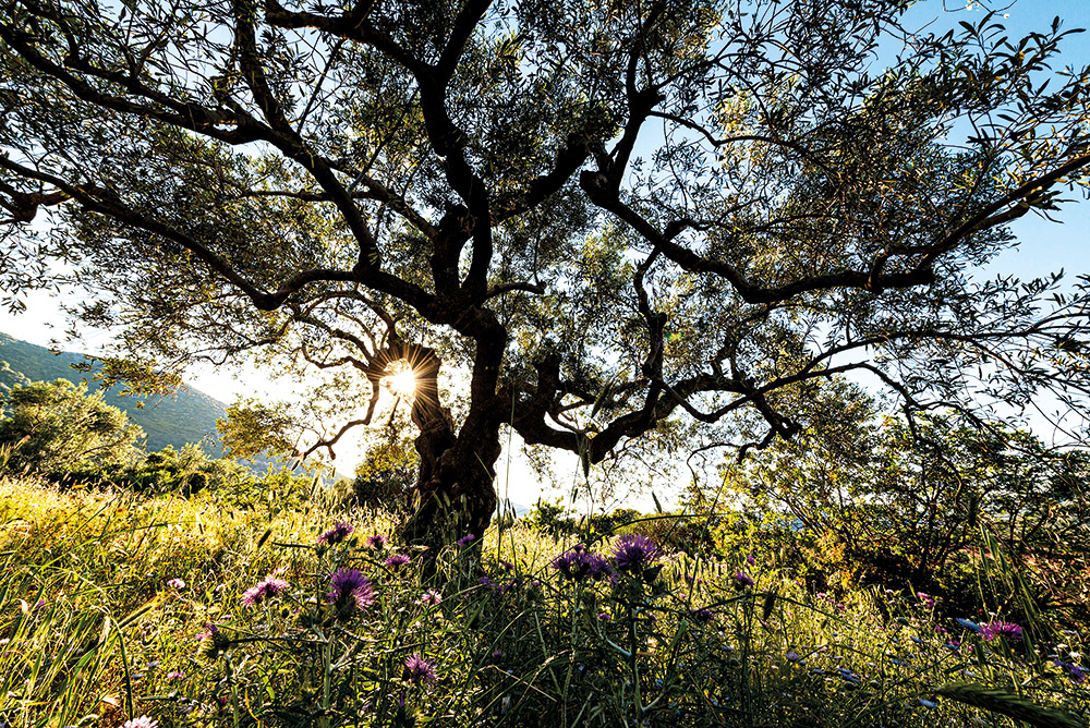 Πάσχα στη Μονεμβασιά: Ατμοσφαιρικά καλντερίμια, φαναράκια και αναμμένα κεριά-4