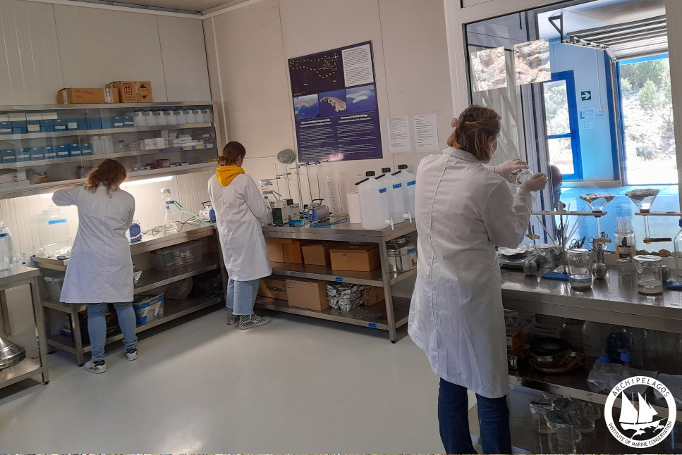 Μικροπλαστικά στο στομάχι τους και από εκεί στην τροφική αλυσίδα-1