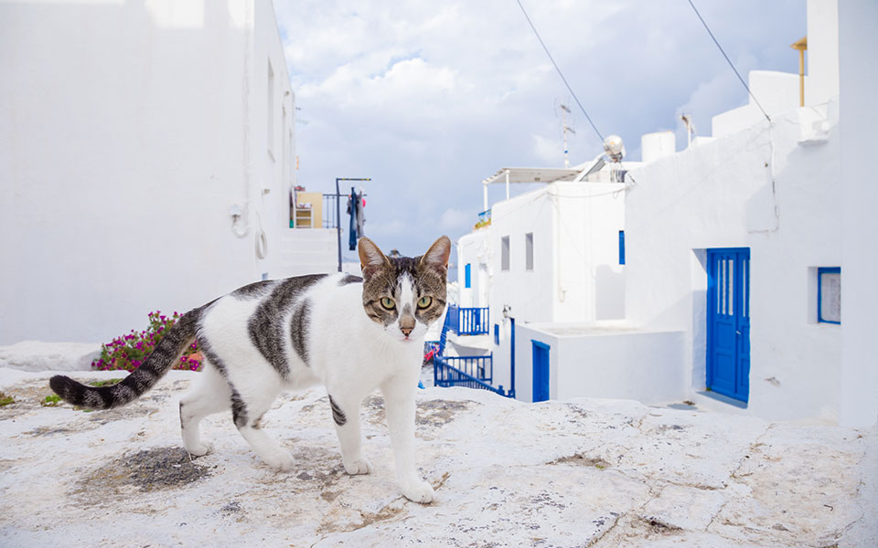 Διαβάστε στην «Καθημερινή της Κυριακής» που κυκλοφορεί σήμερα-4