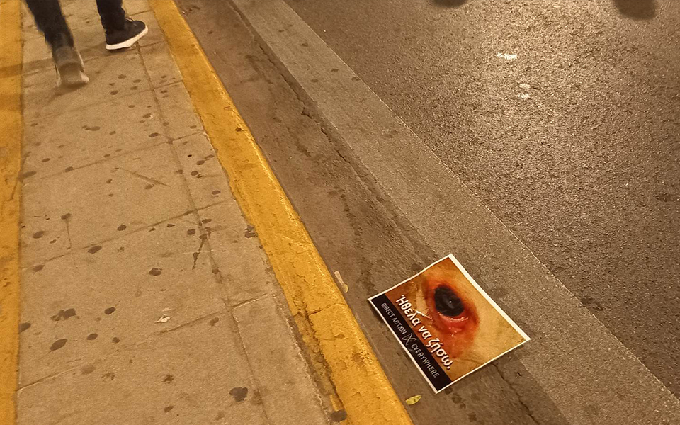 Σύνταγμα: Μικροένταση στην περιφορά του Επιταφίου με ομάδα φιλόζωων ακτιβιστών-2