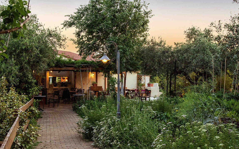 διάβασμα-και-φαγητό-στο-περιβόλι-ή-στη-562391971