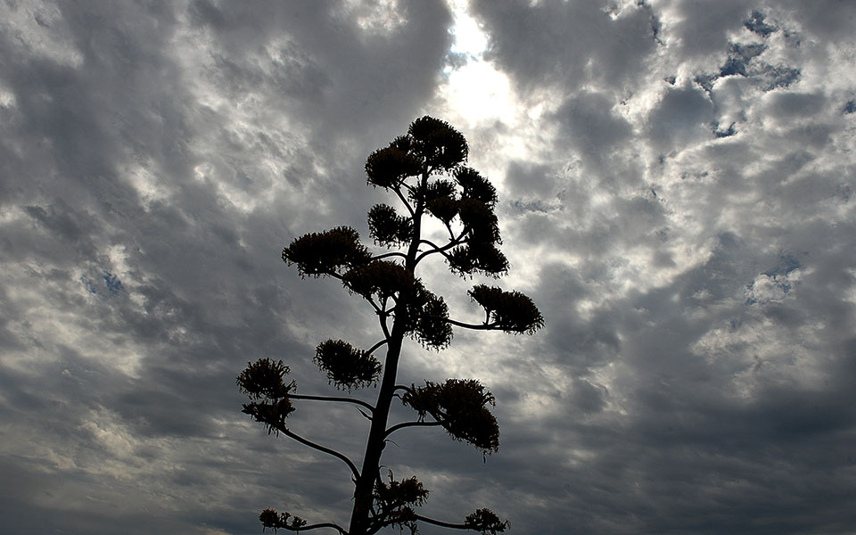 βροχερός-σήμερα-ο-καιρός-πώς-θα-εξελι-562364650