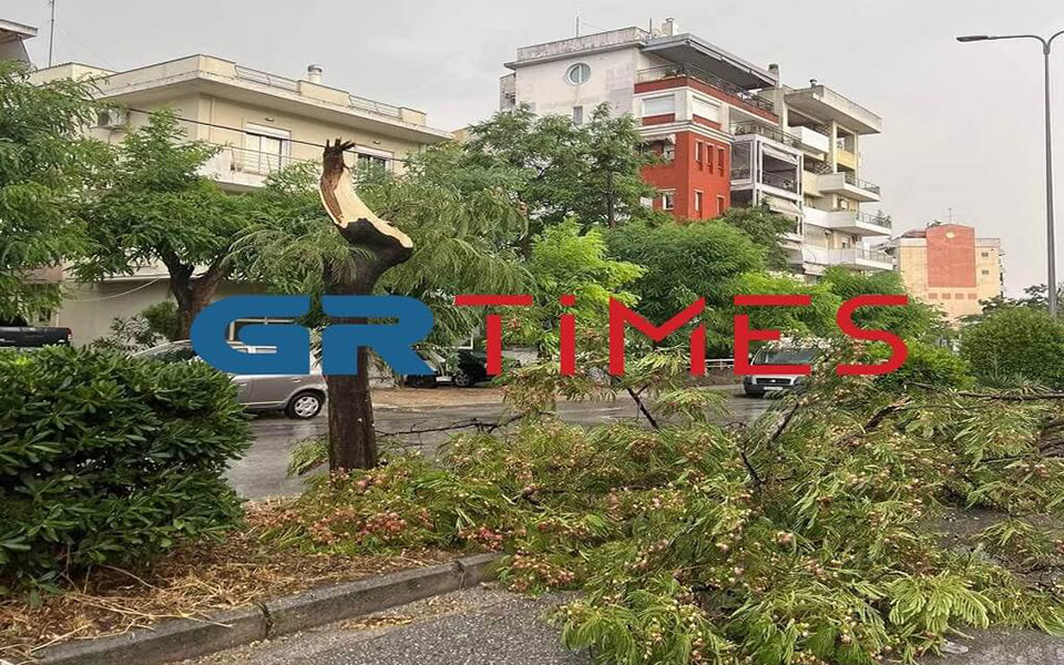πτώσεις-δέντρων-στη-θεσσαλονίκη-εξαι-562353265
