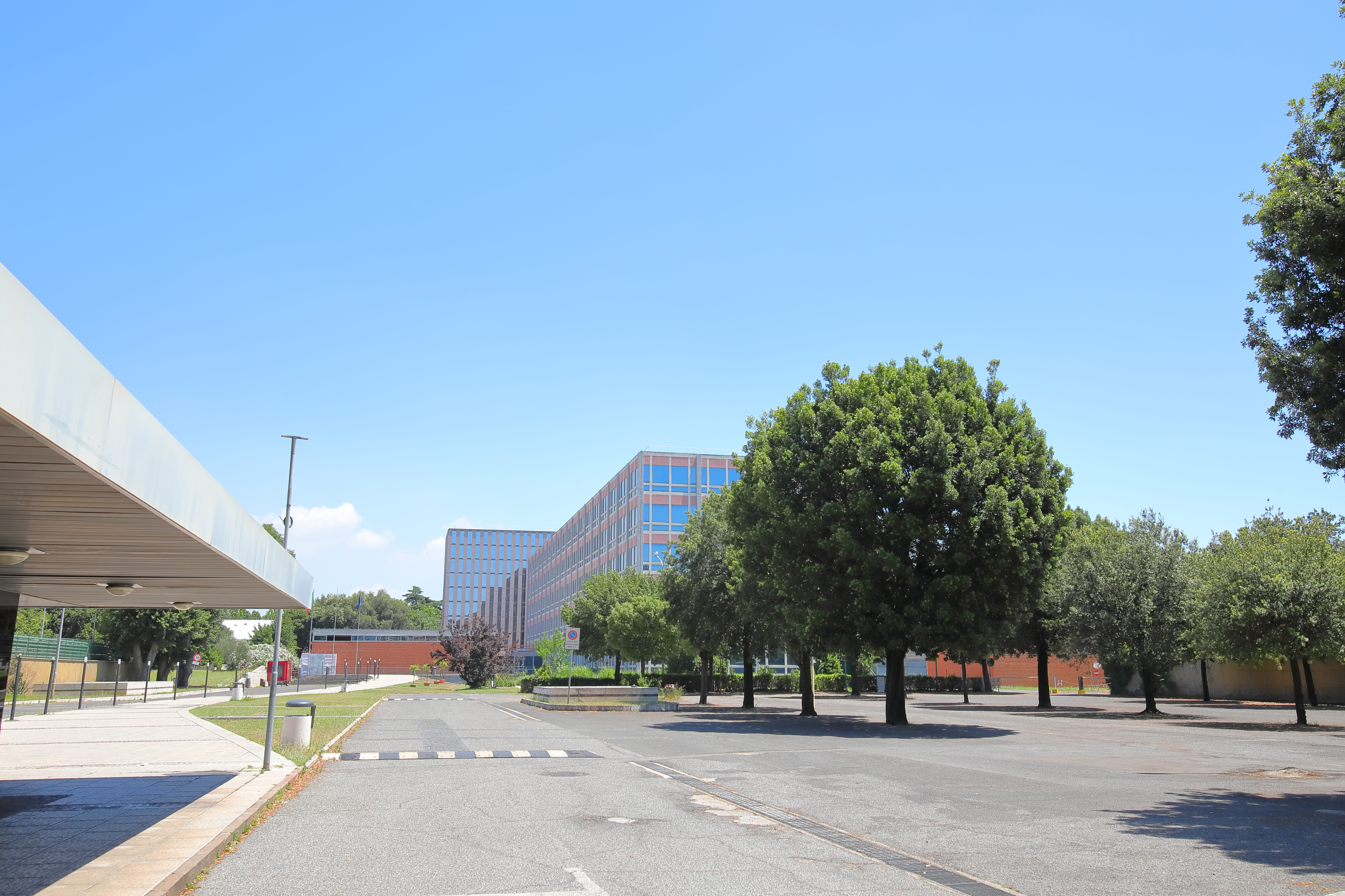 Κ. Π. Καβάφης: Ενα εκδοτικό φαινόμενο στην Ιταλία-3