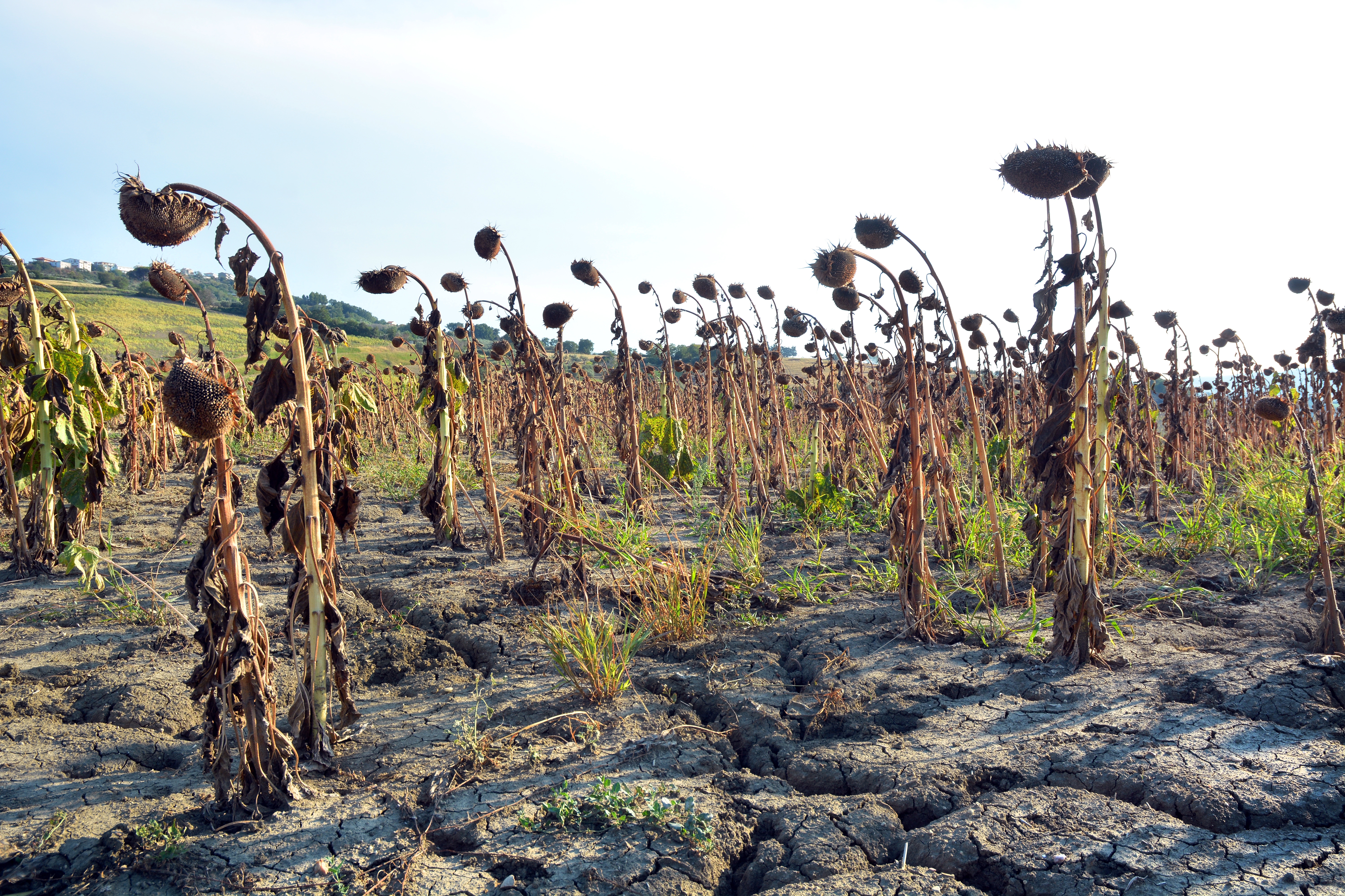 Το νερό, η επόμενη κρίση της Ευρώπης-2