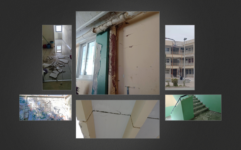 εκτρέφουμε-κατσαρίδες-υψηλής-ποιότη-562357405