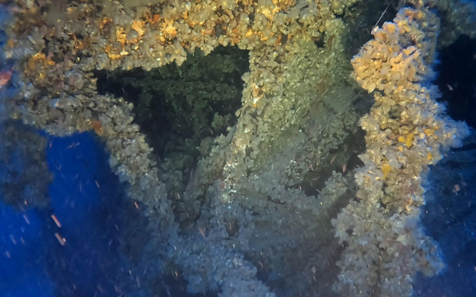 βρέθηκε-χαμένο-ναυάγιο-40-ετών-στο-κάβ-562370152