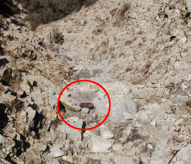 Σέρρες: Ενα αφύλακτο πεδίο βολής, ένας νεκρός, καμία ευθύνη-1