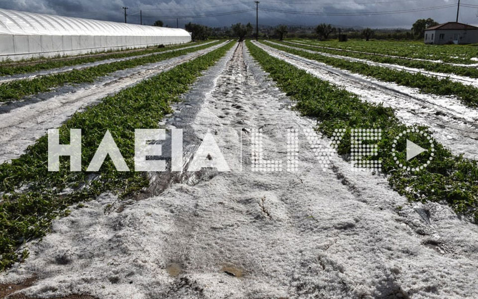 ηλεία-τεράστιες-καταστροφές-από-χαλά-562376293