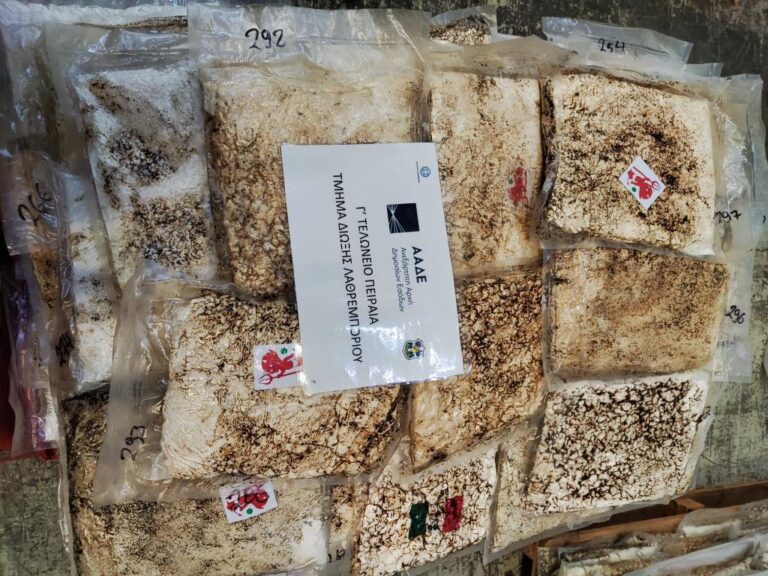 πειραιάς-οι-ανανάδες-έκρυβαν-κοκαΐνη-562441183