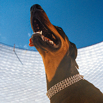 AI στη μουσική: To Αthens Music Week ανοίγει τη μεγάλη συζήτηση-1