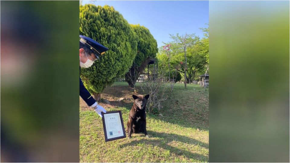 ιαπωνία-σκύλος-ήρωας-έσωσε-50χρονο-562411927