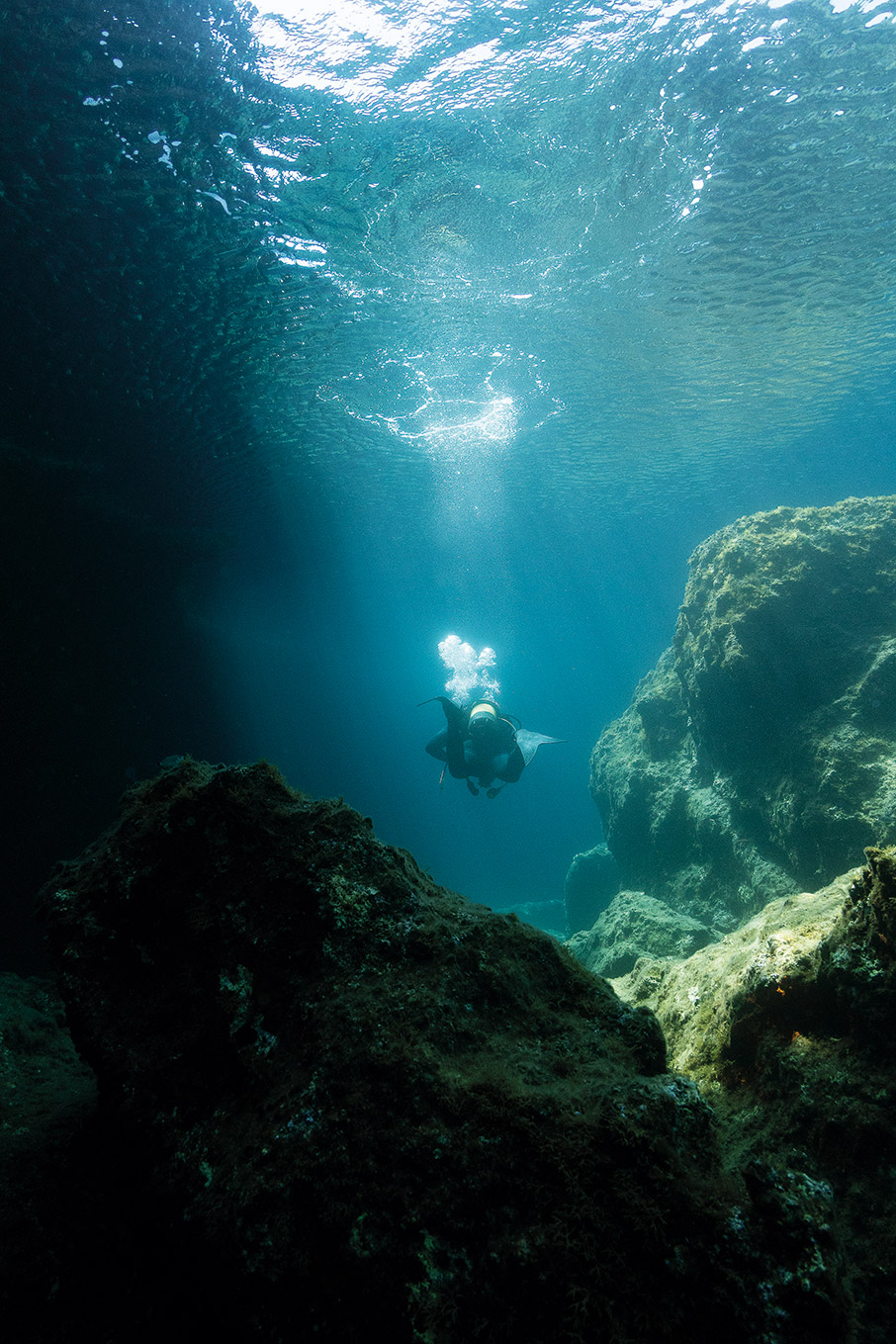Μια νησίδα του Ιονίου γεμάτη φώκιες-2