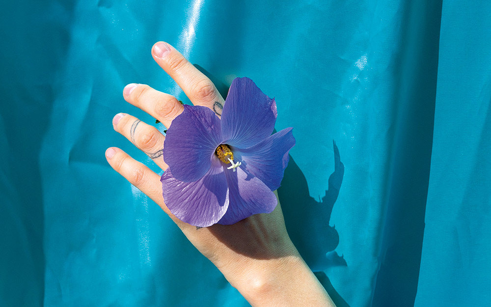 αλιοτζίν-ένας-θάμνος-για-όλους-τους-τύ-562428685