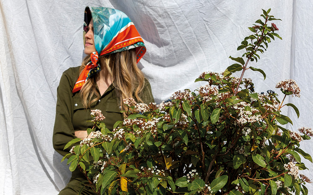 βιβούρνο-το-φυτό-με-τα-δέκα-πρόσωπα-562416535