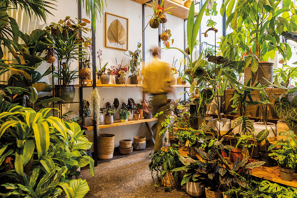 6 concept stores φυτών και λουλουδιών που μυρίζουν άνοιξη-4