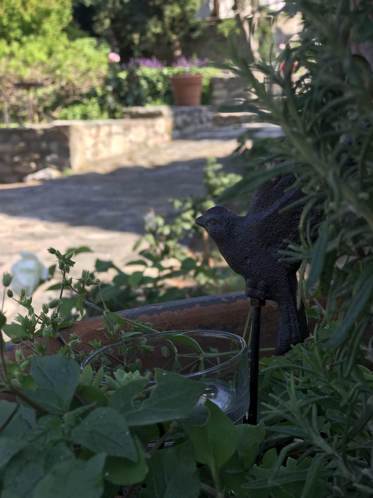 Το ερευνητικό κέντρο ΜΟΗΑ μαθαίνει στα παιδιά να βοηθούν τις μέλισσες-3