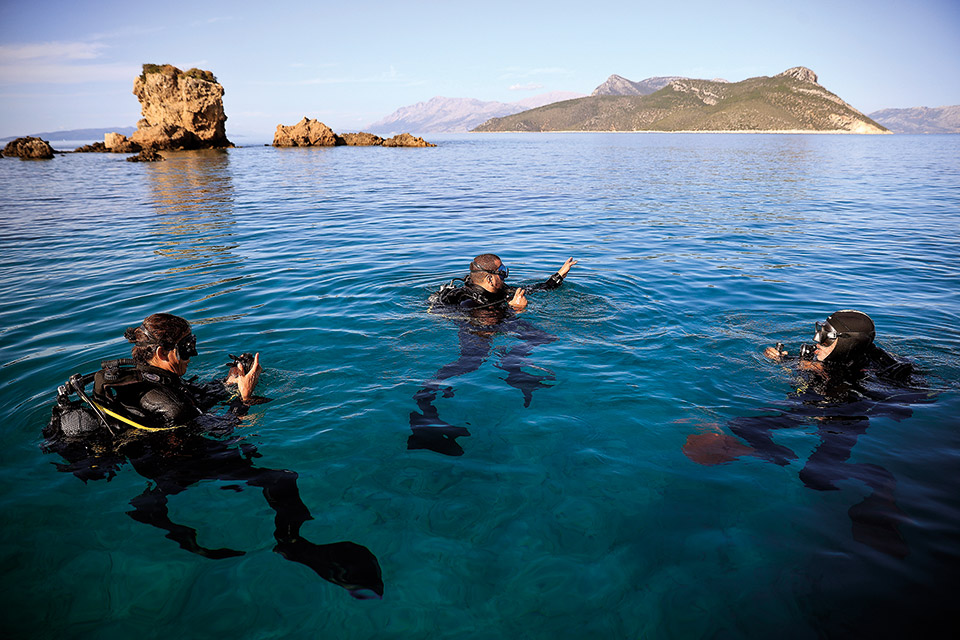 Μια νησίδα του Ιονίου γεμάτη φώκιες-1