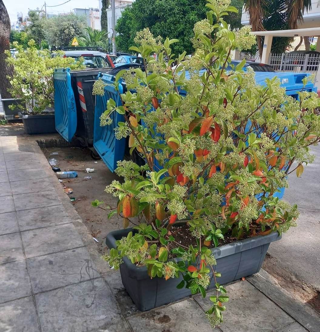 Κυνηγώντας θησαυρούς στους δρόμους της Αθήνας-2