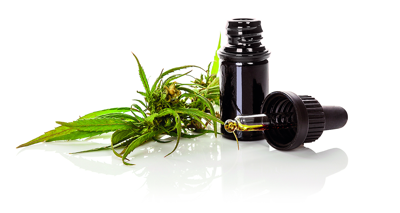 μπορεί-η-κάνναβη-να-συμβάλει-στην-ανακ-562396816