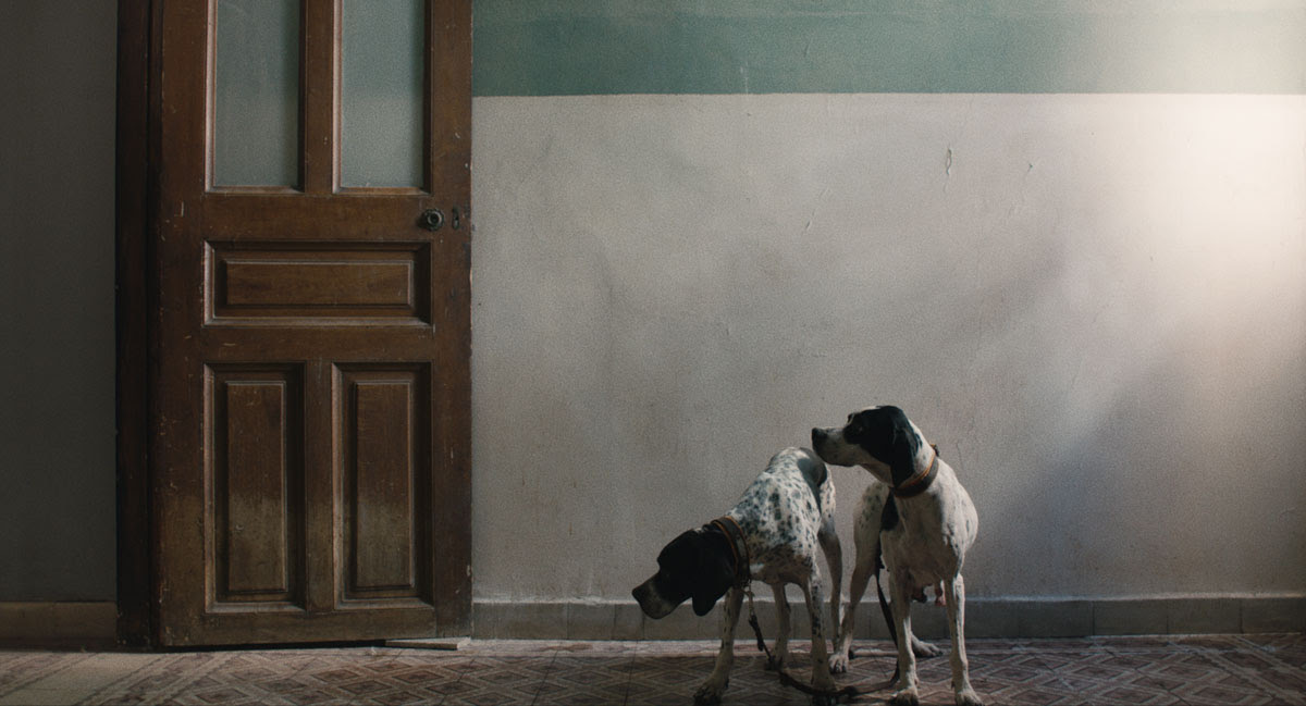 μισός-αιώνας-από-κάλπη-σε-κάλπη-562418683