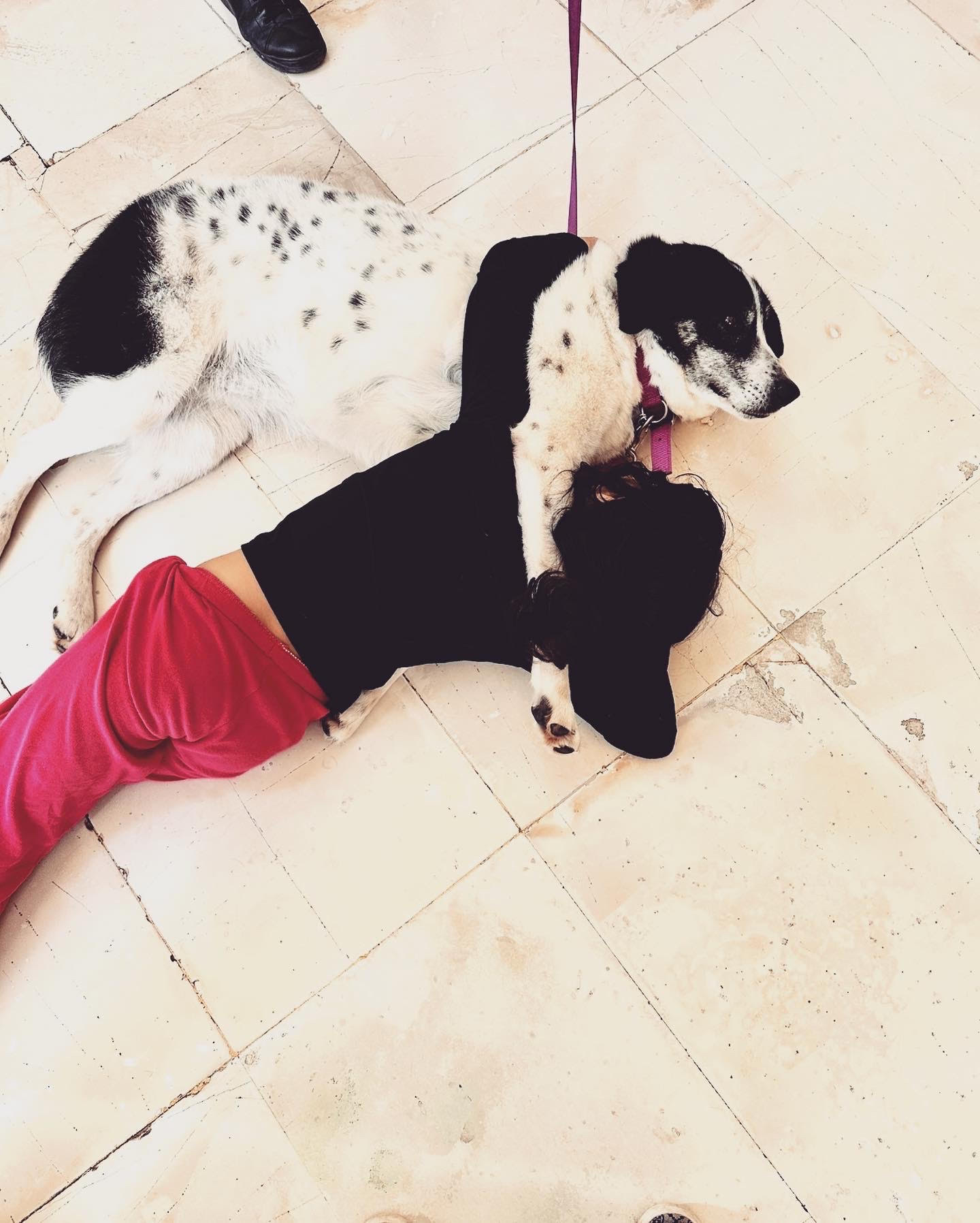 Ποια Καλυψώ, ποιος Πίνατ; Η καινούργια σταρ των τετράποδων λέγεται Μαρίτσα-1