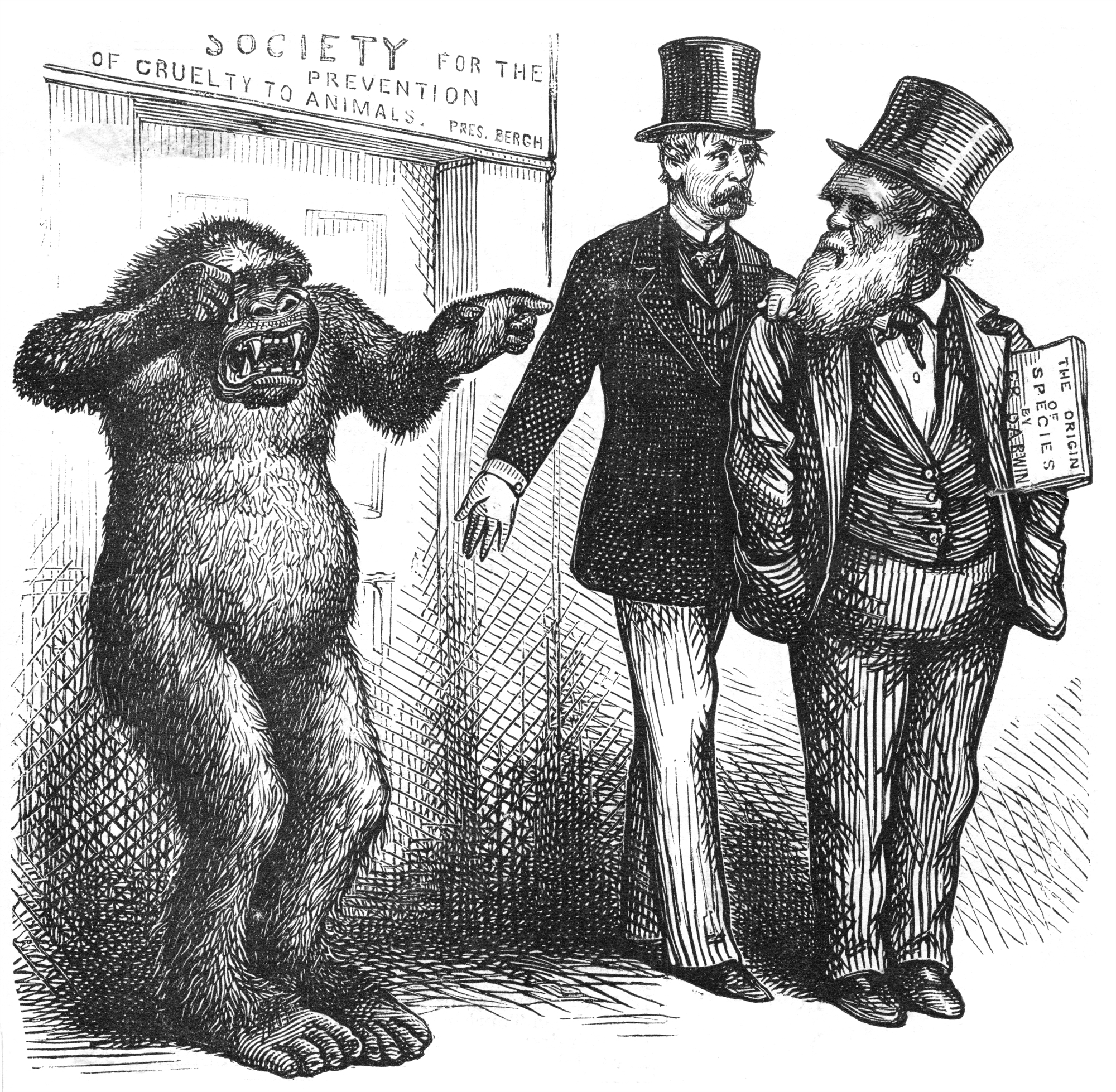 Κάρολος Δαρβίνος: Ο θεμελιωτής της θεωρίας της εξέλιξης-12