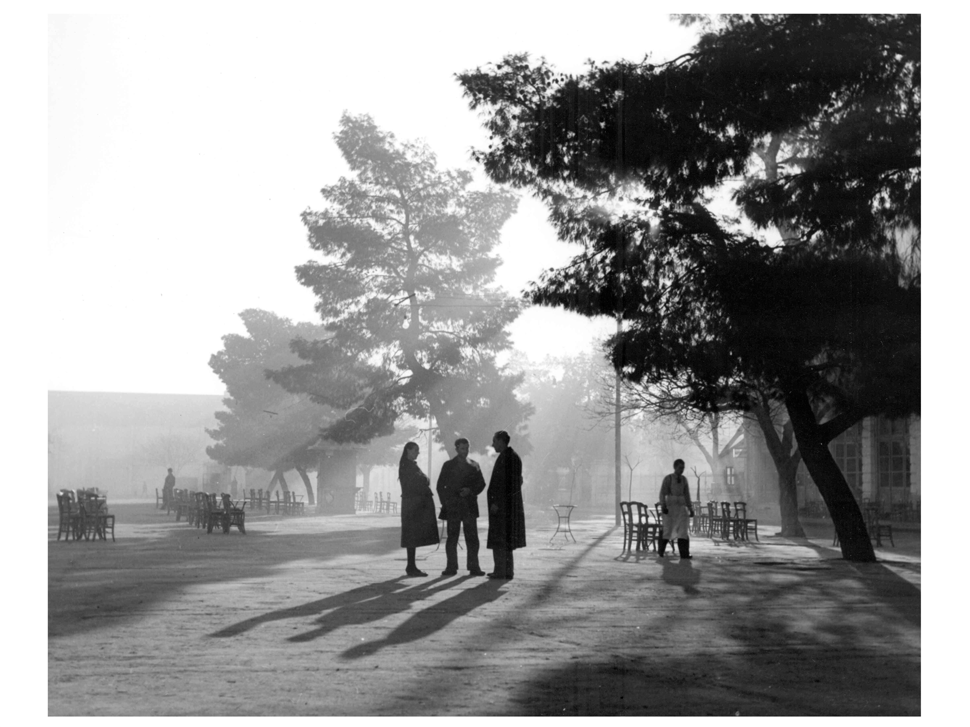 η-κληρονομιά-της-ελληνικής-φωτογραφί-562423978