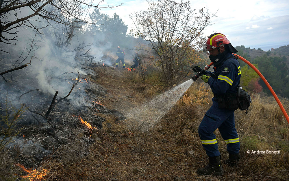 η-pg-στηρίζει-το-πρόγραμμα-του-wwf-ελλάς-γι-562400203
