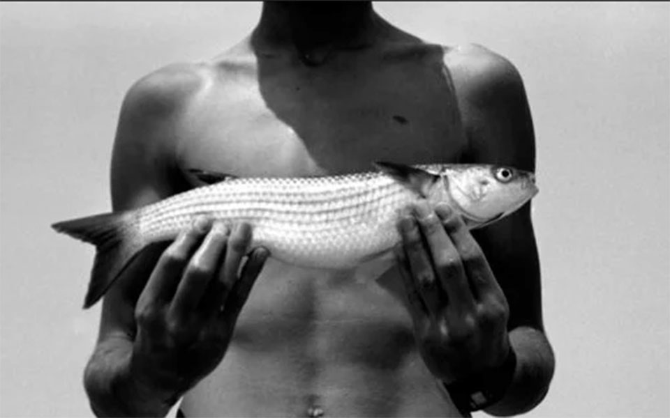 η-πολιτιστική-ατζέντα-της-τρίτης-16-05-562422484