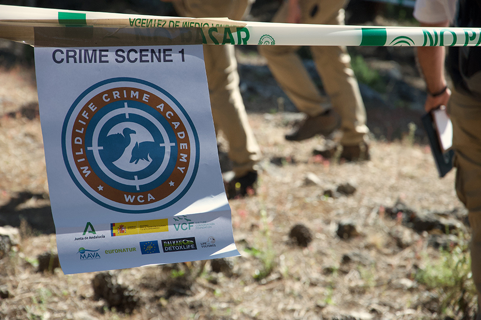 Ενα μικρό CSI για την άγρια ζωή-3