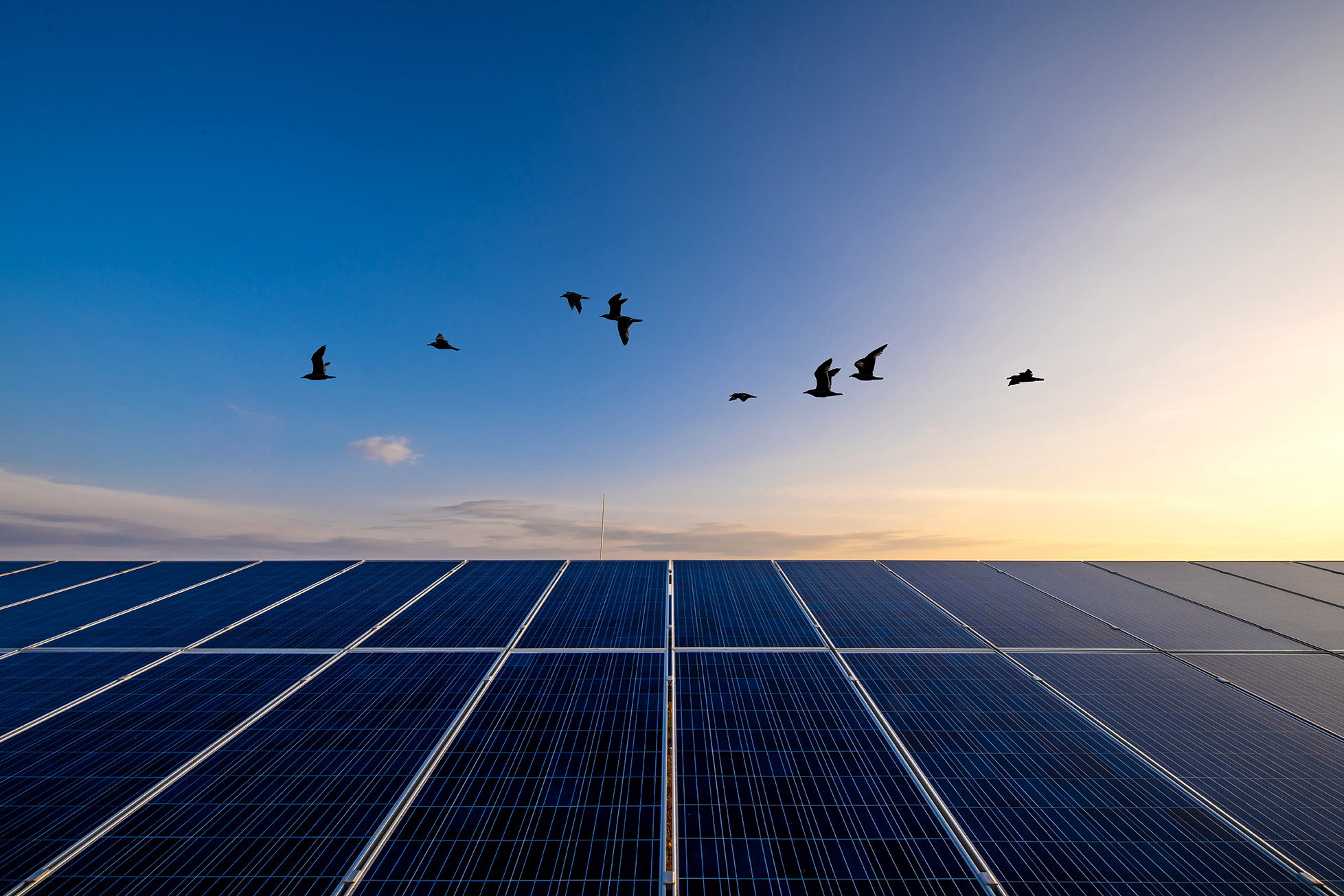 Υπεύθυνη Επιχειρηματικότητα με Εκπαιδευτικά Προγράμματα και πρωτοβουλίες της MYTILINEOS-1