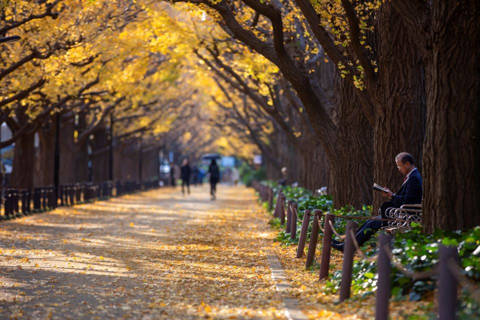 γιατί-κάποια-δέντρα-είναι-ντροπαλά-562411858