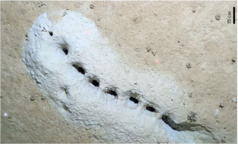 επιστήμονες-έλυσαν-το-μυστήριο-των-562434373