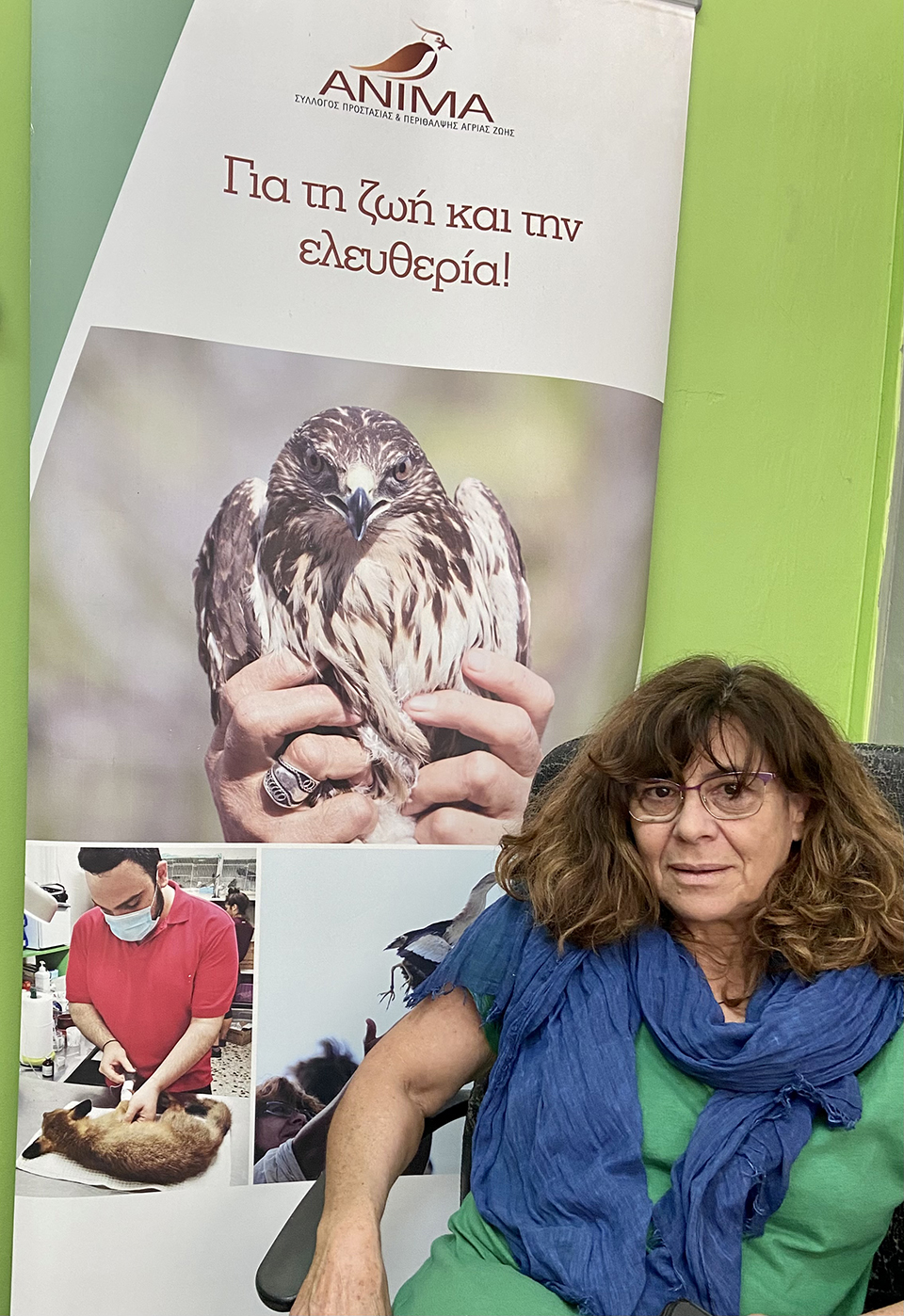 Οταν η πόλη γίνεται «καταφύγιο» για άγρια ζώα-6