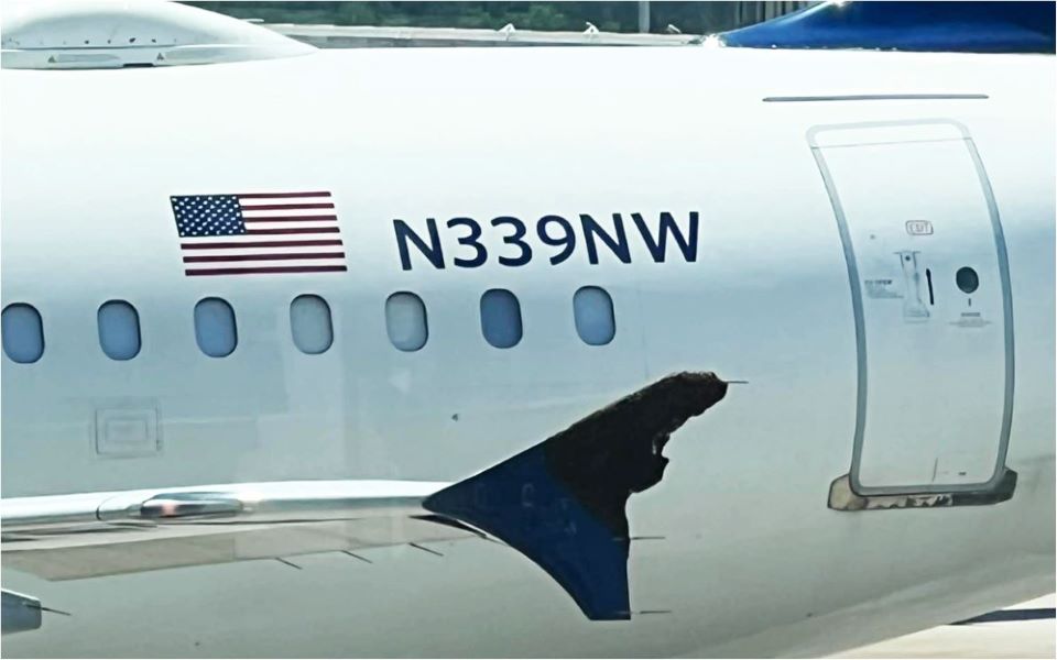 houston-we-have-a-problem-καθυστέρηση-πτήσης-λόγω-σμήνο-562408234