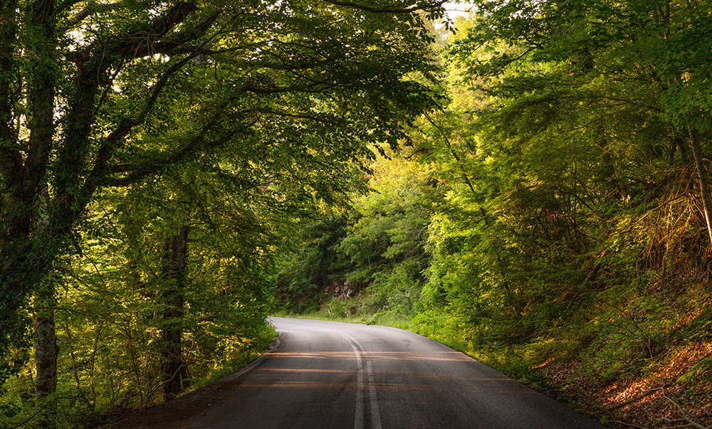 ελληνικός-χρυσός-υπεύθυνες-πολιτικέ-562410064