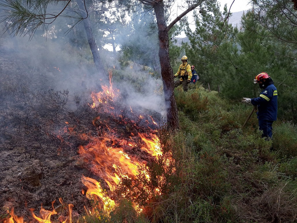 Η P&G στηρίζει το πρόγραμμα του WWF Ελλάς για την ενίσχυση της πρόληψης των δασικών πυρκαγιών-1