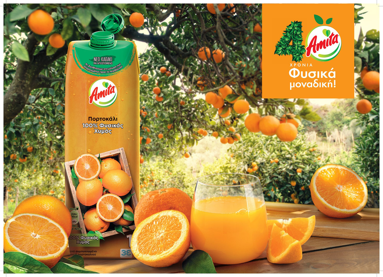 Amita: 40 χρόνια «Φυσικά μοναδική»-2