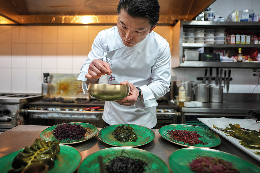 Είναι τα φύκη το νέο πλαστικό;-5