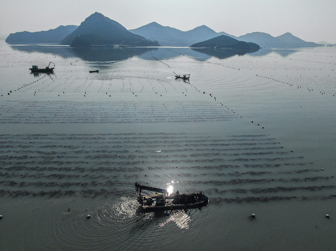 Είναι τα φύκη το νέο πλαστικό;-6