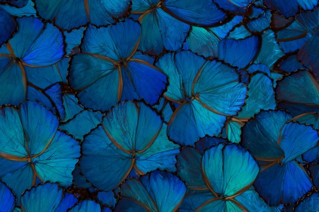 η-κάλπη-η-τινα-και-η-κολυμβήθρα-του-σιλ-562443757